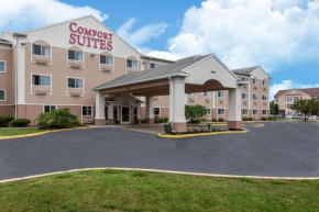 Comfort Suites Rochester